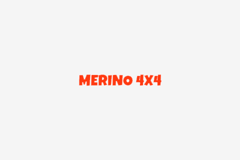 [X]