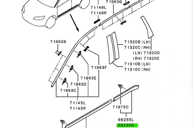 MOLDURA DE LA PUERTA TRASERA DERECHA