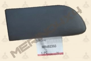 MOLDURA PROTECTORA DEL GUARDABARROS, DELANTERA IZQUIERDA