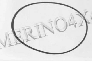CORREA BOMBA DE ACEITE DE DIRECCI�N ASISTIDA