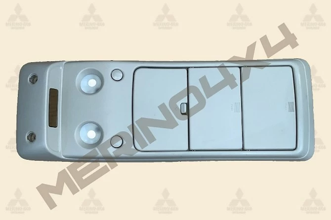 CONJUNTO DE LUZ INTERIOR DELANTERA