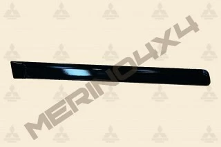 MOLDURA PROTECTORA DE PUERTA TRASERA DERECHA
