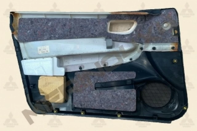 MOLDURA DE LA PUERTA DELANTERA DERECHA