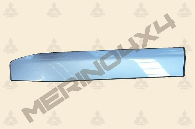 MOLDURA DE LA PUERTA TRASERA DERECHA