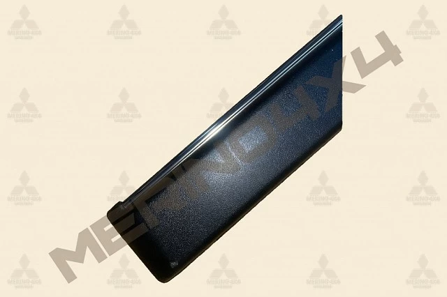 MOLDURA PROTECTORA DELANTERA IZQUIERDA DE LA PUERTA