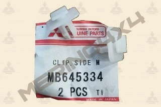 CLIPS DE MOLDURA DE LA PUERTA