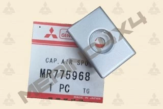 TAPON DEL ALERON TRASERO