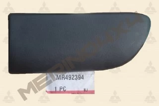 MOLDURA PROTECTORA DE LA PUERTA TRASERA DERECHA