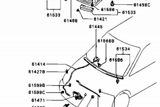 BIAGRADA IZQUIERDA DEL CAPO