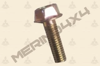 TORNILLO DE LA POLEA DEL CIG�E�AL