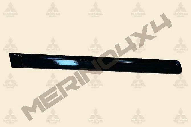 MOLDURA PROTECTORA DE PUERTA TRASERA DERECHA