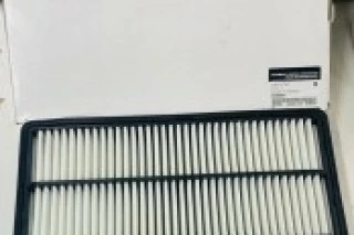 FILTRO DE AIRE